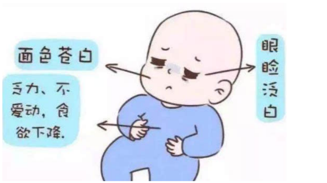 619ee0ce3295b.png 619ee0ce3295b.png