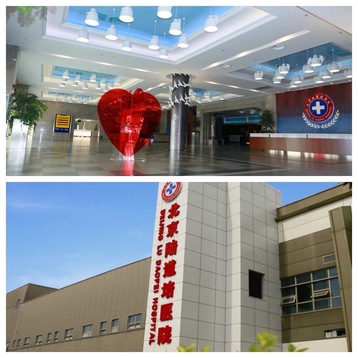 64db2eb609891.jpg 64db2eb609891.jpg