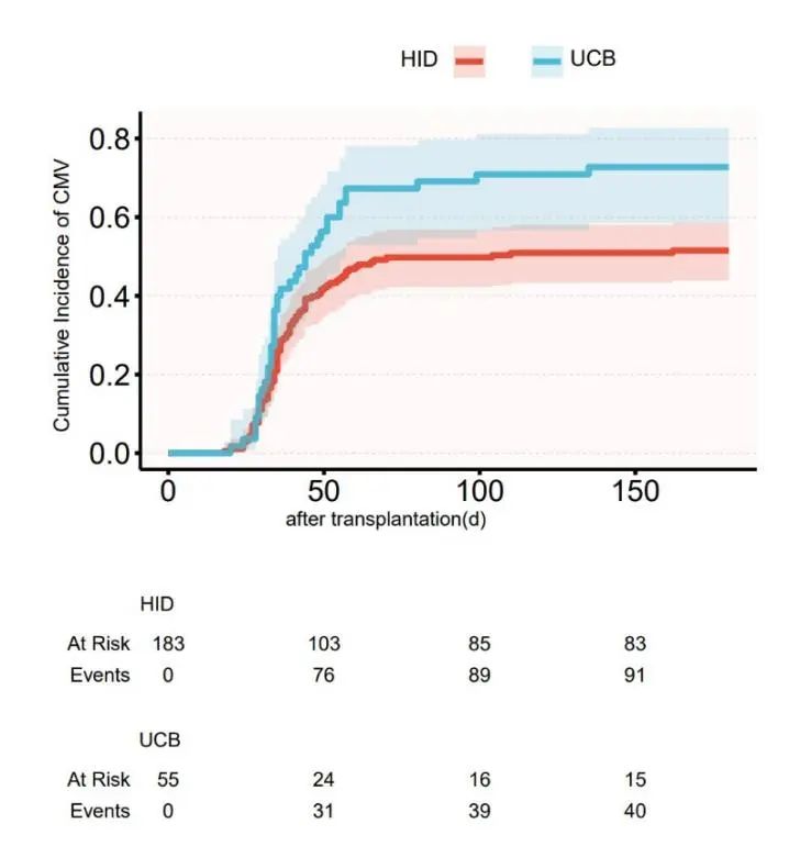 67ece7f265a95.jpg 67ece7f265a95.jpg
