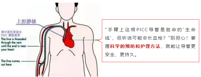 67fe1710ba10b.png 67fe1710ba10b.png