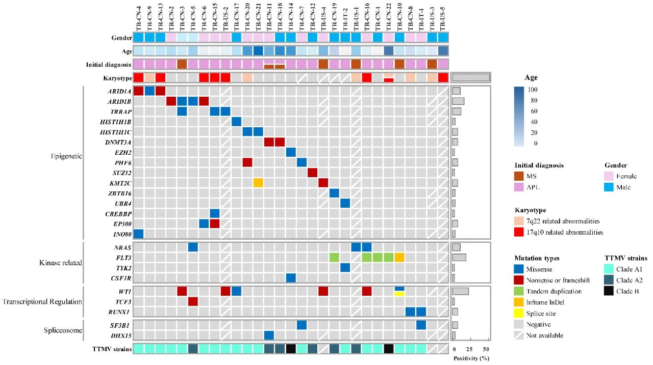 68ad707122bb8.jpg 68ad707122bb8.jpg