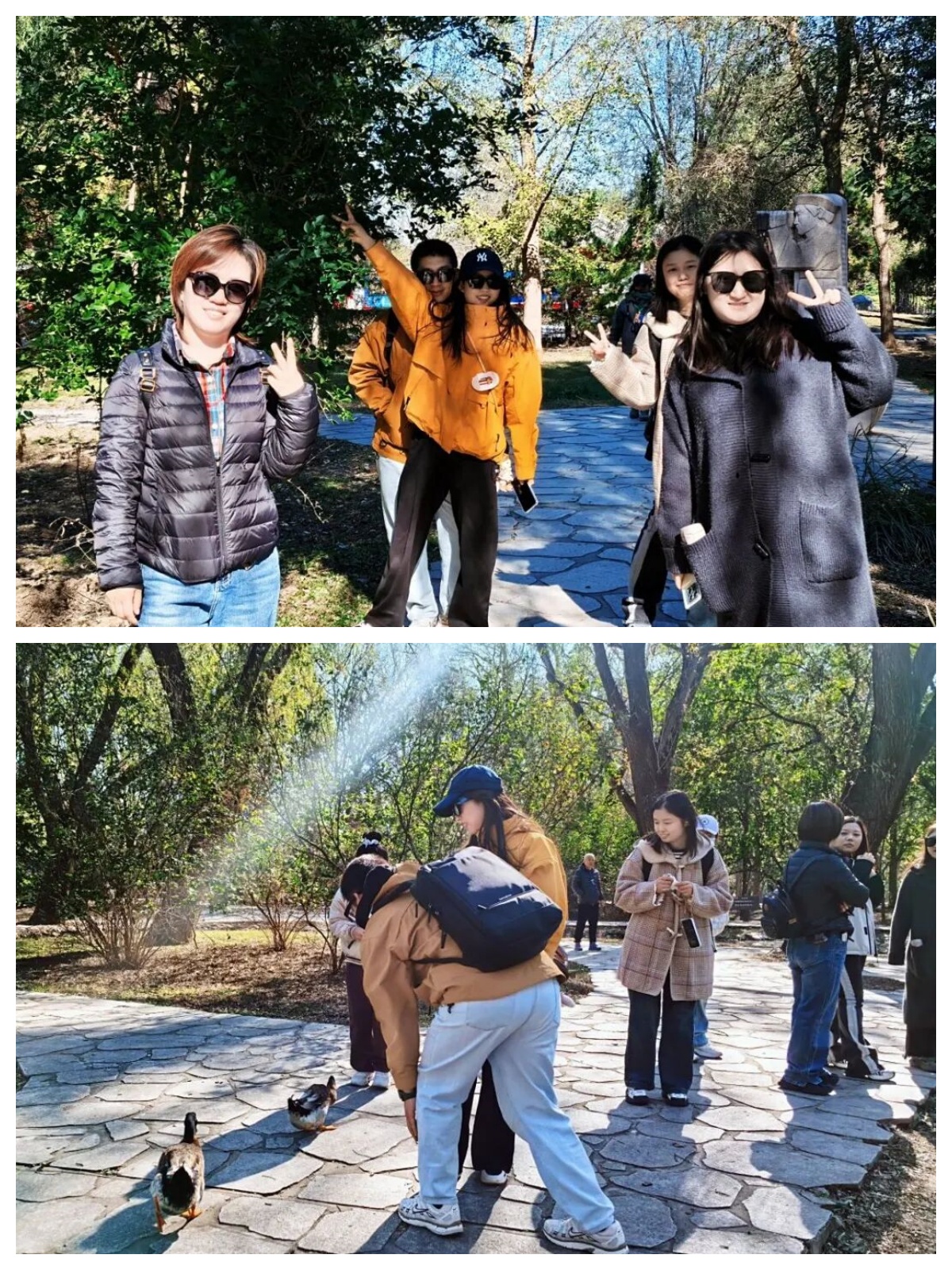 68f6f4e860867.jpg 68f6f4e860867.jpg