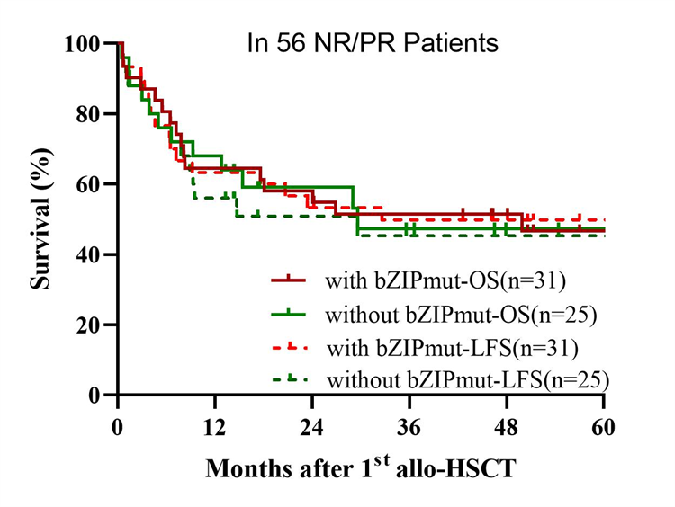 694506b2d9a84.png 694506b2d9a84.png