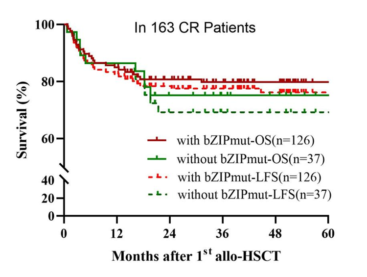 694506b83e653.png 694506b83e653.png