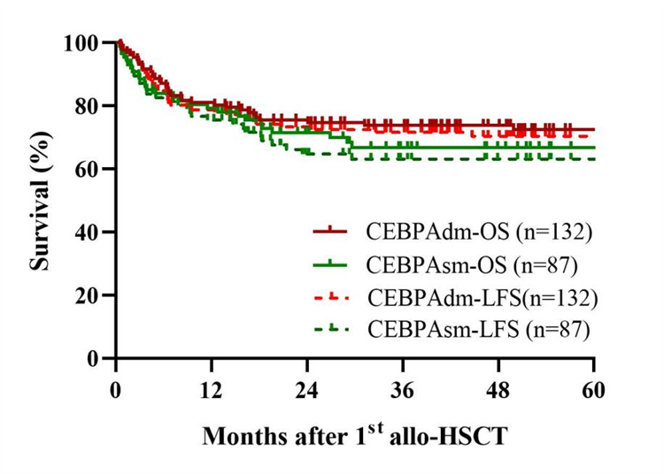 694506be77196.png 694506be77196.png